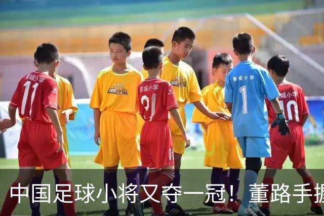 中国足球小将又夺一冠！董路手握品牌赞助加持、接连拿下赛事冠军！难怪孙继海会眼红
