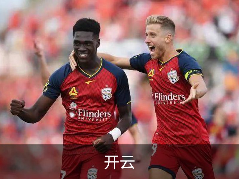 关于开云