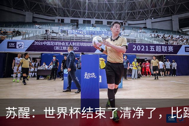 苏醒：世界杯结束了清净了，比踢到一半就淘汰的那种清净好