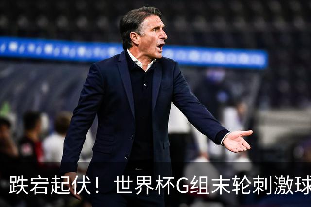 跌宕起伏！世界杯G组末轮刺激球迷心脏 伊朗狂喜过后遭打击