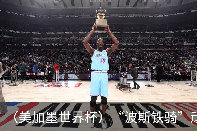 （美加墨世界杯）“波斯铁骑”顽强两连平 伊朗队期待更进一步